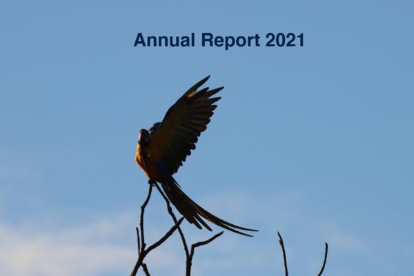 screenshot 2022 02 07 at 11 54 31 annual report bsp 2021 pdf