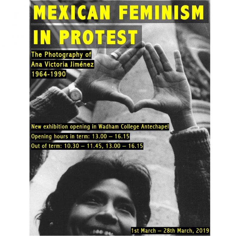mexican feminism in protest